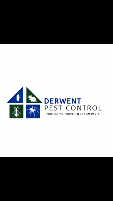 Derwent Pest Control project 6