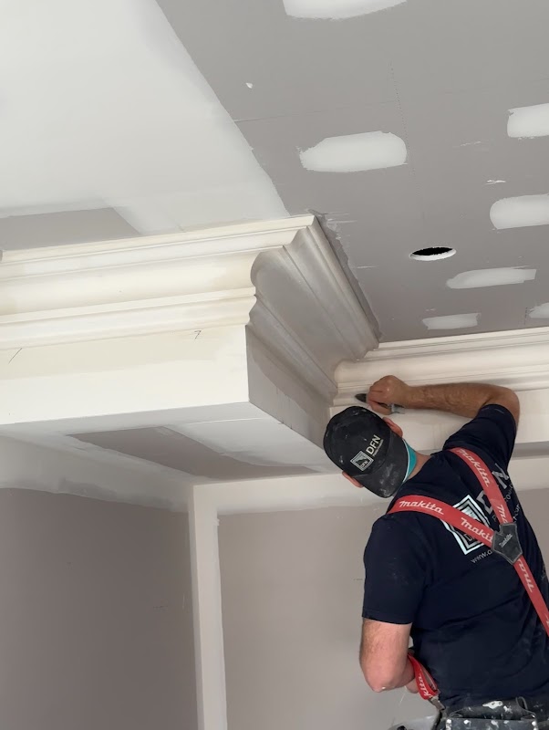 DFN Plaster Products project 10