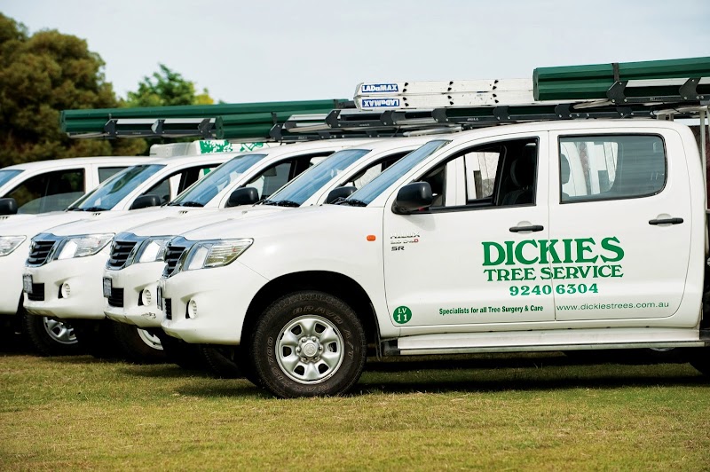 Dickies Tree Service photo 1