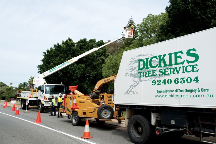 Dickies Tree Service photo 2