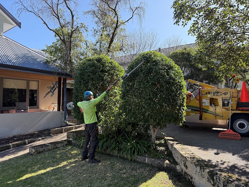 Dickies Tree Service photo 3