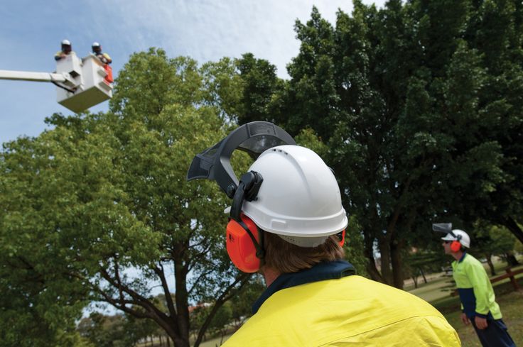 Dickies Tree Service work 4