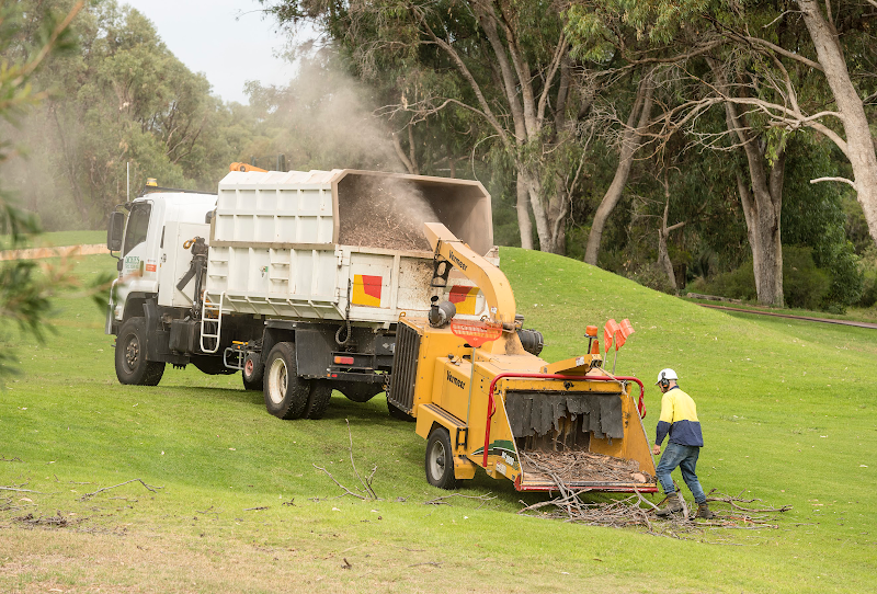 Dickies Tree Service project 5