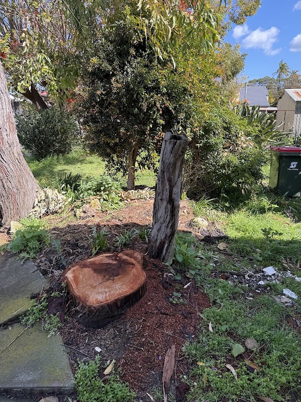 Dickies Tree Service project 6
