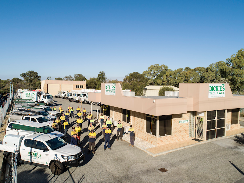 Dickies Tree Service project 8