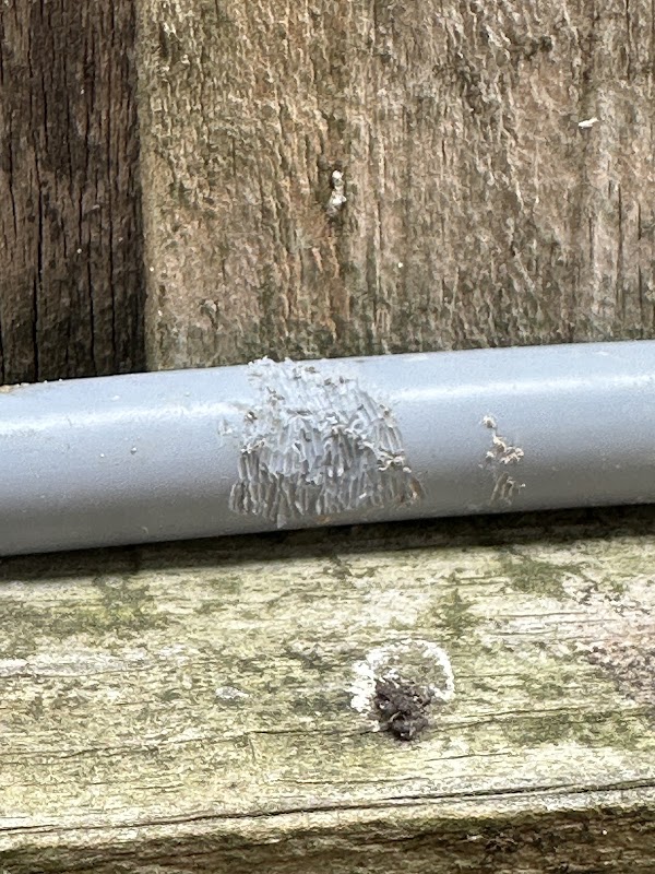 Diverse Plumbing & Roofing project 7