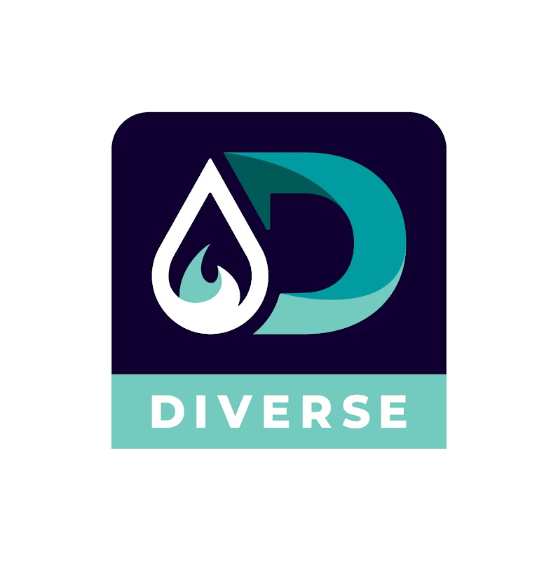 Diverse Plumbing & Roofing project 10