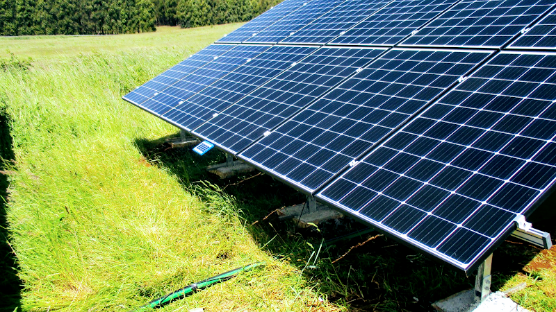 DMS Energy project 6