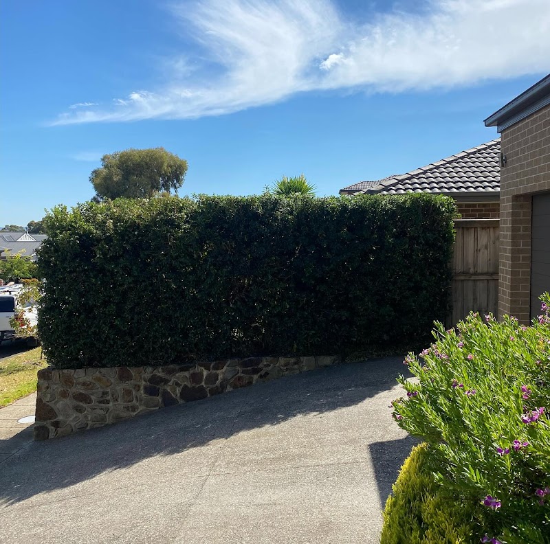 DNE Garden Maintenance photo 2