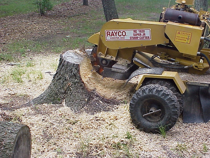 Dons Tree Services project 8