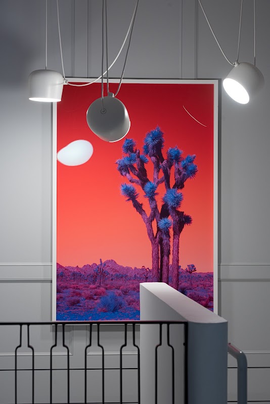 Dr Angelo Tsirbas project 8