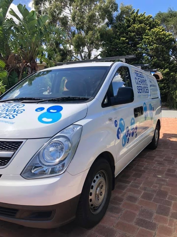Dr Seleo Cleaning Services work 2