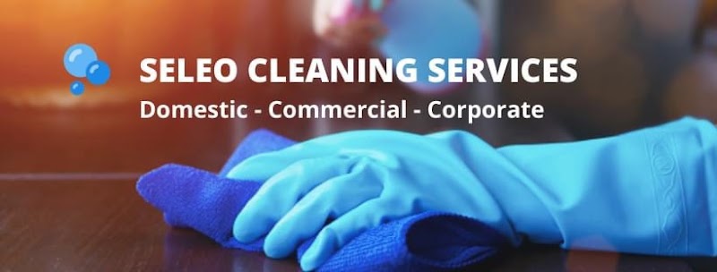 Dr Seleo Cleaning Services project 6