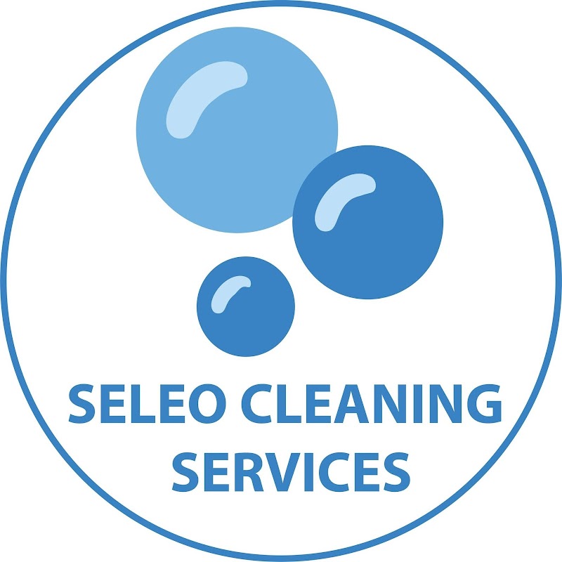 Dr Seleo Cleaning Services project 7