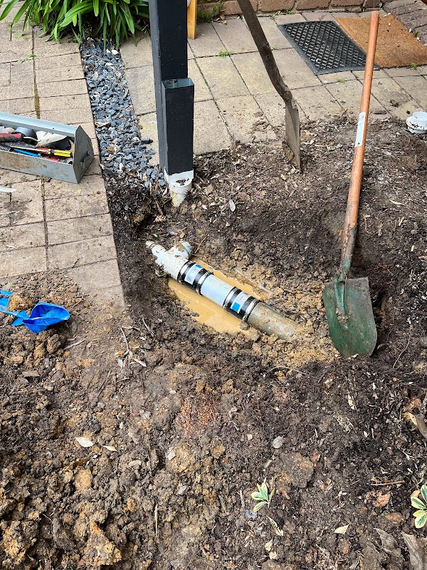 Drain My Pipe photo 3