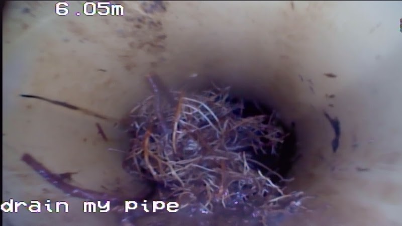 Drain My Pipe project 10