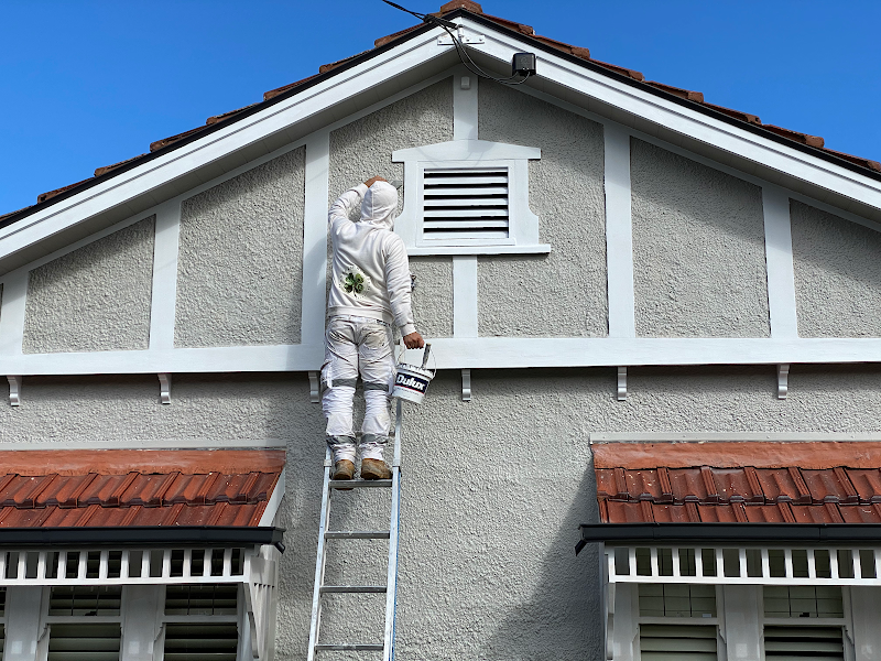 Dream Homes Painting project 9