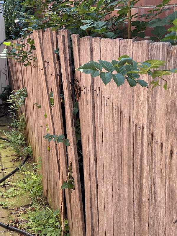 Dunrite Fencing project 5