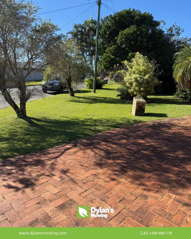 Dylan's Mowing photo 3