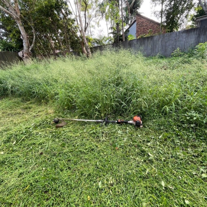 Dylan's Mowing project 8