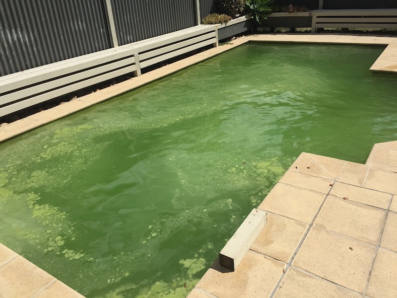 Dynamic Pool Services photo 3