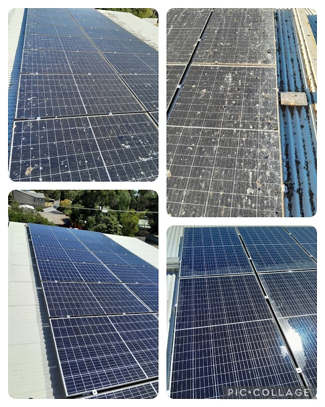 Eagle Eye Pest Control - Adelaide project 9