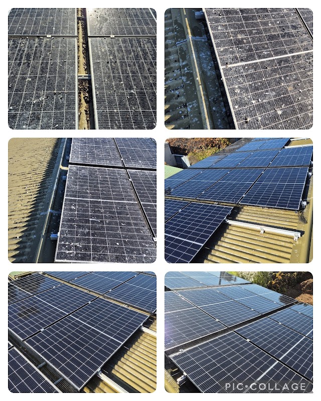 Eagle Eye Pest Control - Adelaide project 10
