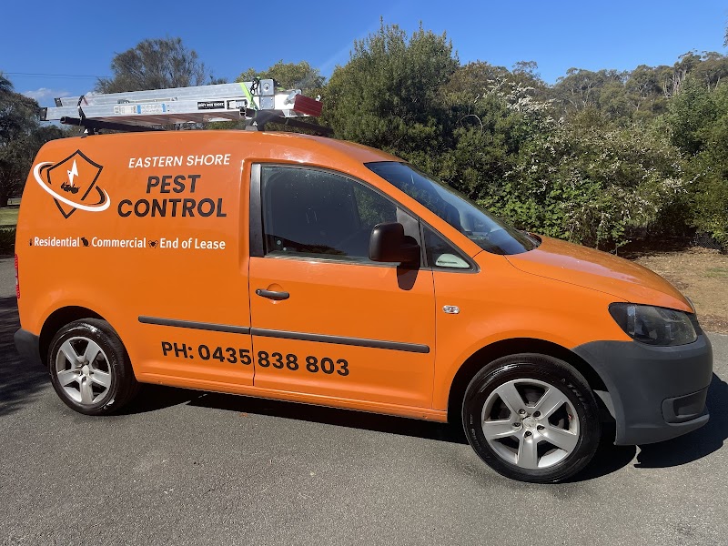 Eastern Shore Pest Control work 1