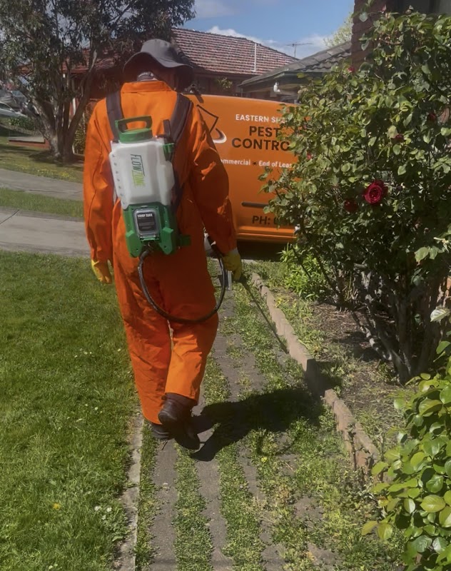 Eastern Shore Pest Control work 2