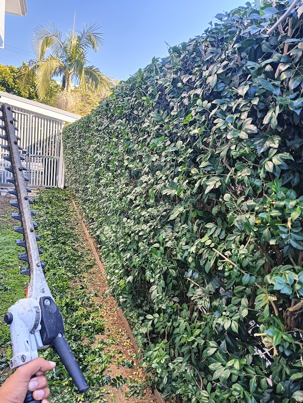 EasYGaRden work 2