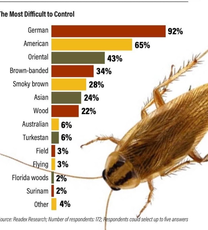 Eco Friendly Pest Solutions project 9