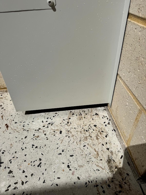 Eco Safe Pest Control Perth work 2