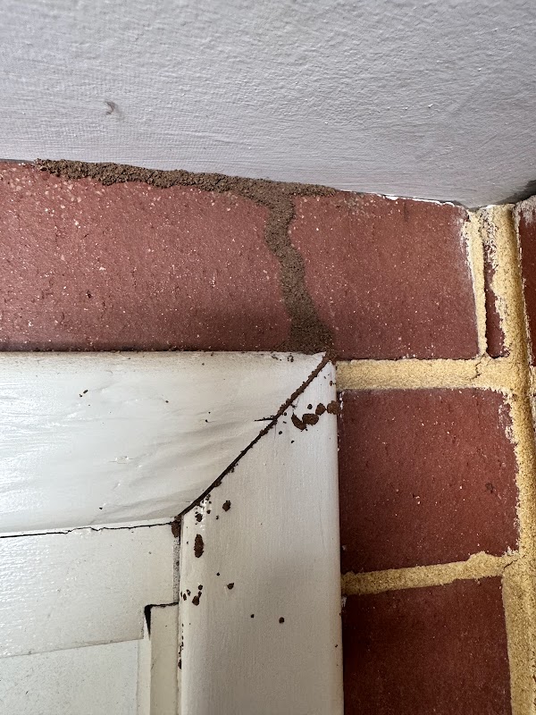 Eco Safe Pest Control Perth work 3