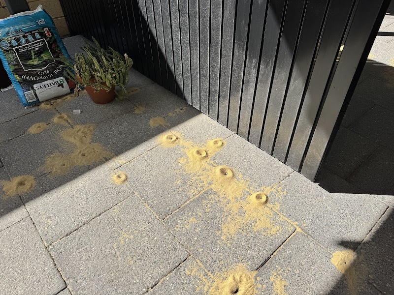 Eco Safe Pest Control Perth project 5