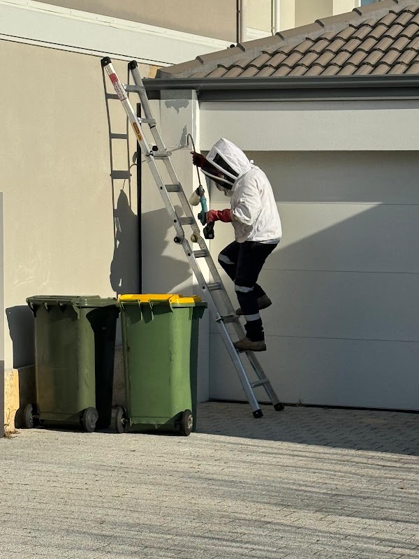 Eco Safe Pest Control Perth project 8