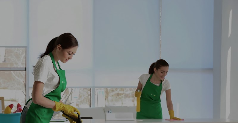 Ecowave Cleaning work 1