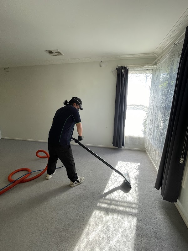 Ecowave Cleaning work 3