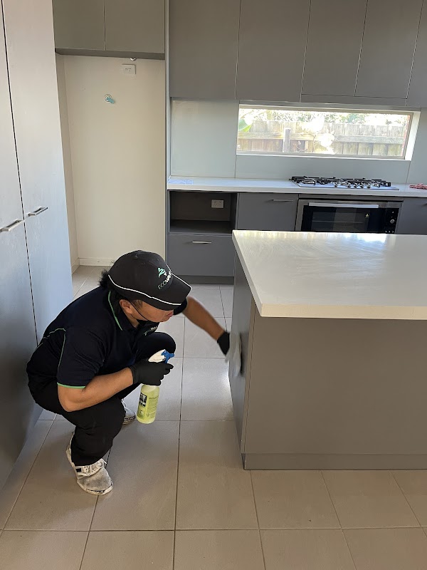 Ecowave Cleaning project 5