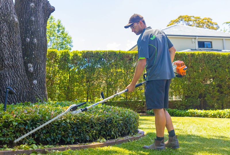 Ed’s Mowing & Maintenance - North Shore work 2