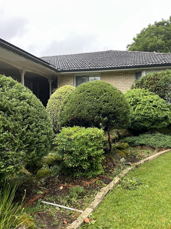 Ed’s Mowing & Maintenance - North Shore project 8