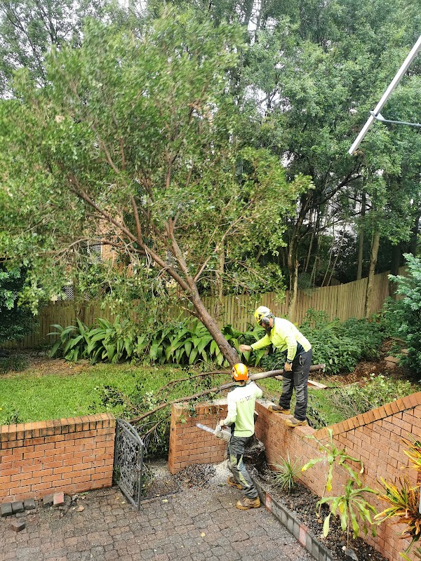 Eden Tree Service project 5