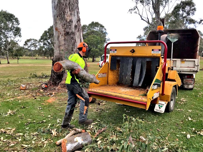 Eden Tree Service project 7