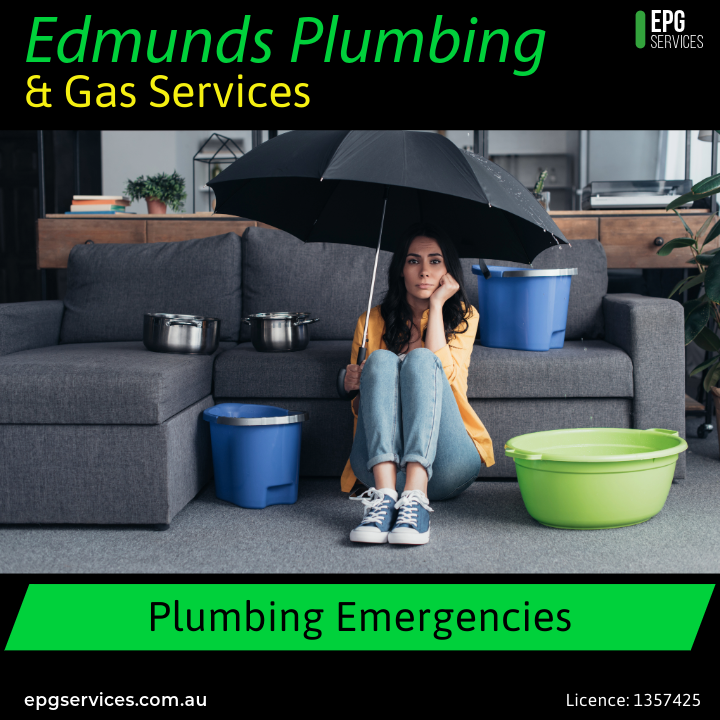 Edmunds Plumbing & Gas Services work 2