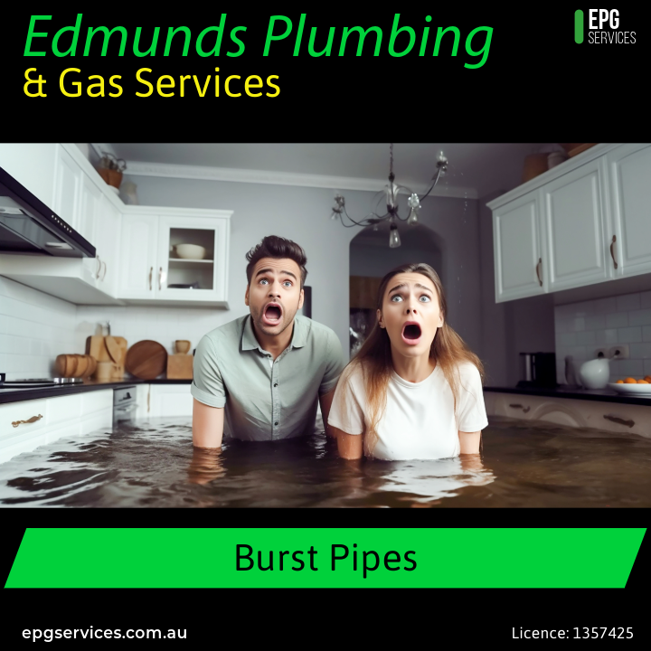 Edmunds Plumbing & Gas Services work 4