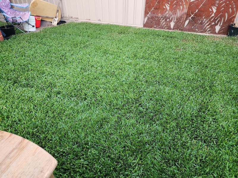 EJS Landscaping and Gardening photo 1