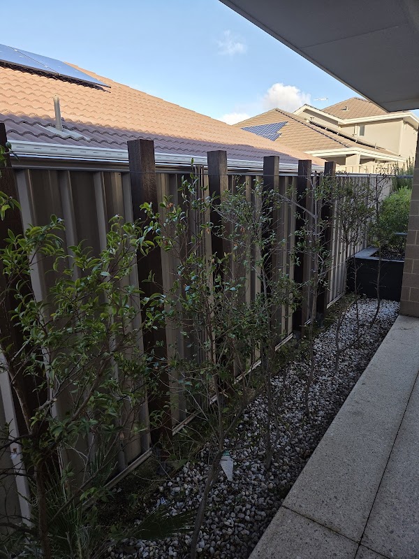 EJS Landscaping and Gardening project 7