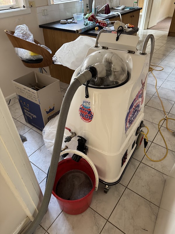 Eli Cleaning project 5