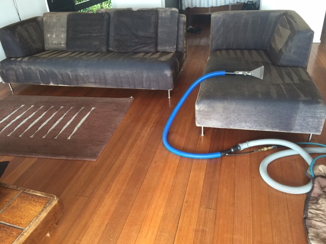 Eli Cleaning project 6