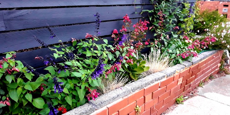 Elite Gardens Bayside work 1