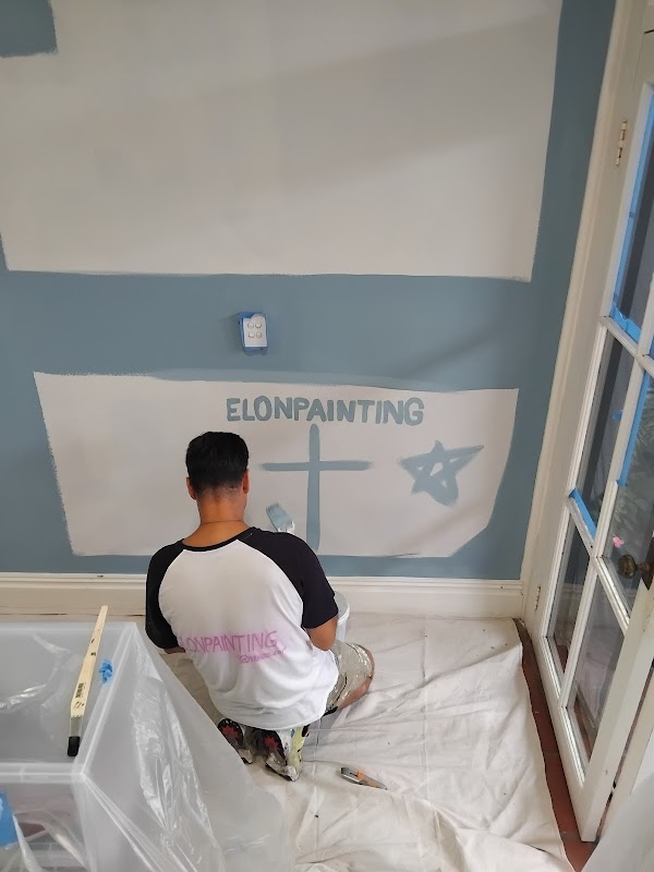 elon painting project 7
